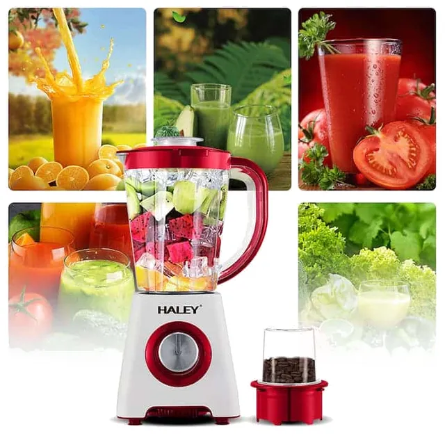 Blender Électrique Haley 2 en 1 avec Moulin - Modèle HY-2940
