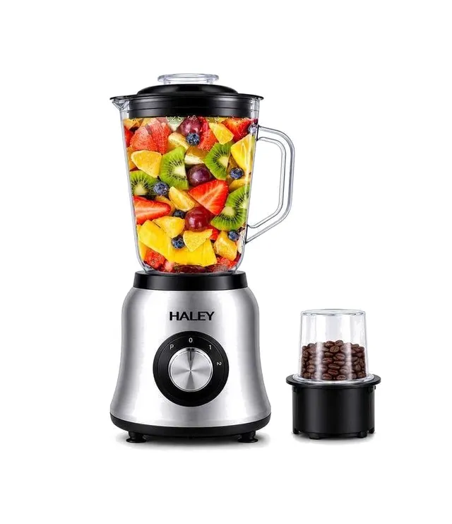 Blender Électrique Haley 2 en 1 avec Moulin - Modèle HY-2941