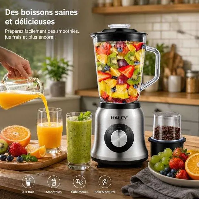 Blender Électrique Haley 2 en 1 avec Moulin - Modèle HY-2941