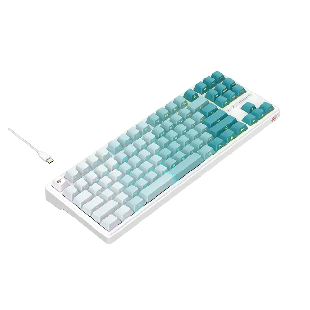 HAVIT Mechanical Keyboard KB901L RGB