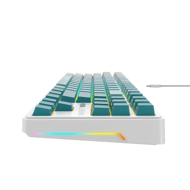 HAVIT Mechanical Keyboard KB901L RGB