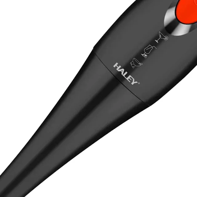 Mixeur Plongeant Électrique Haley HY-1107A - 1000W - Noir