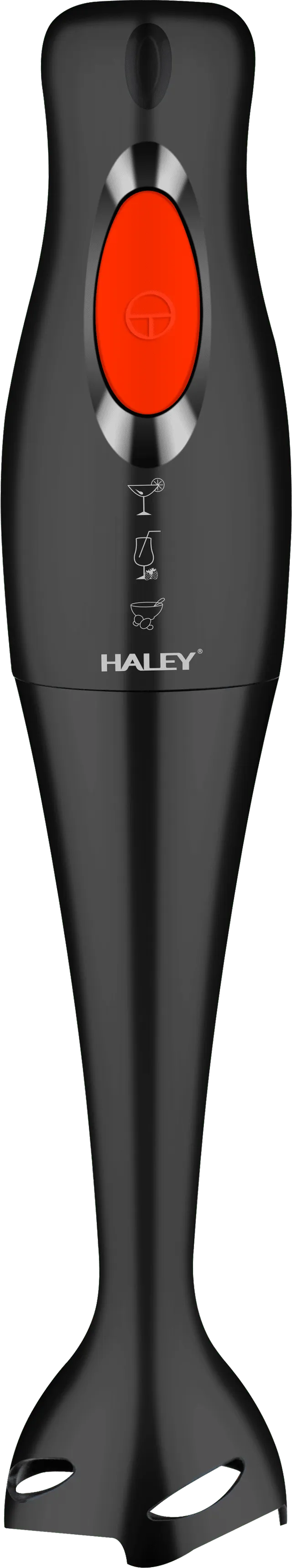 Mixeur Plongeant Électrique Haley HY-1107A - 1000W - Noir